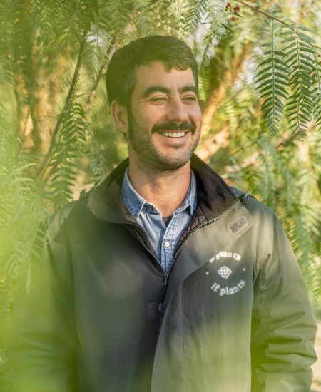 if-plants-notre-histoire-ferran