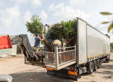 if-plants-LOGISTIQUE