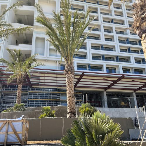 ifplants06292022projects chipre0037