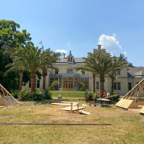 ifplants_projects_moon knight (3)